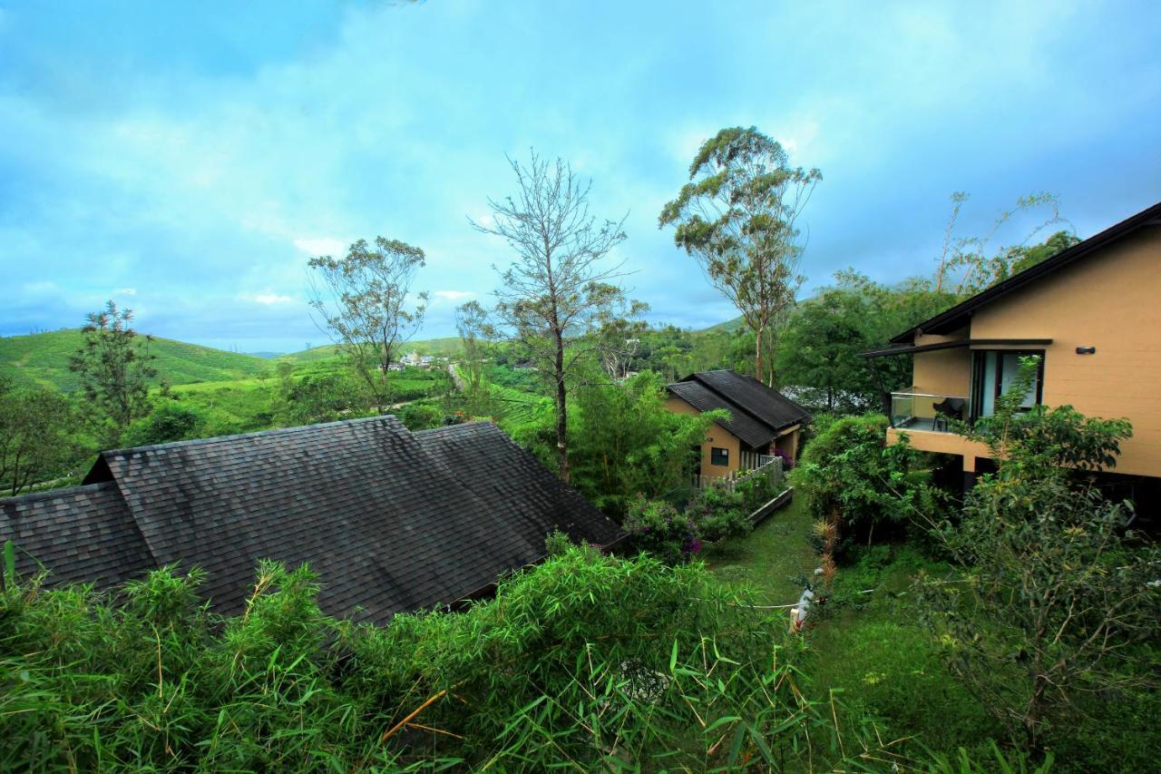 Tea Terrain & Hotel