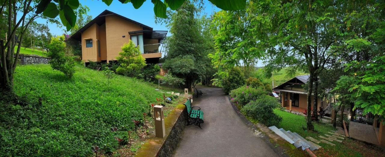 Tea Terrain & Hotel