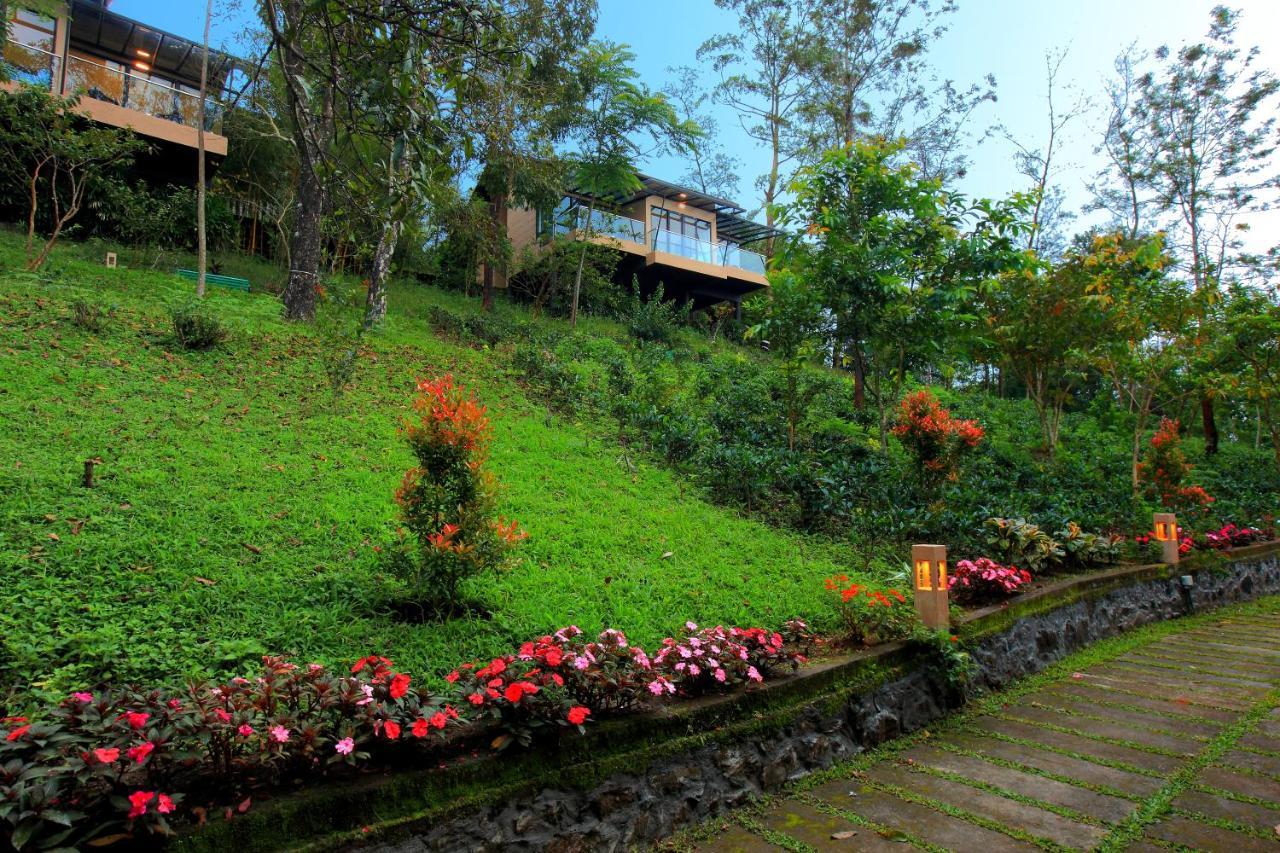 Hotel Tea Terrain & 5*