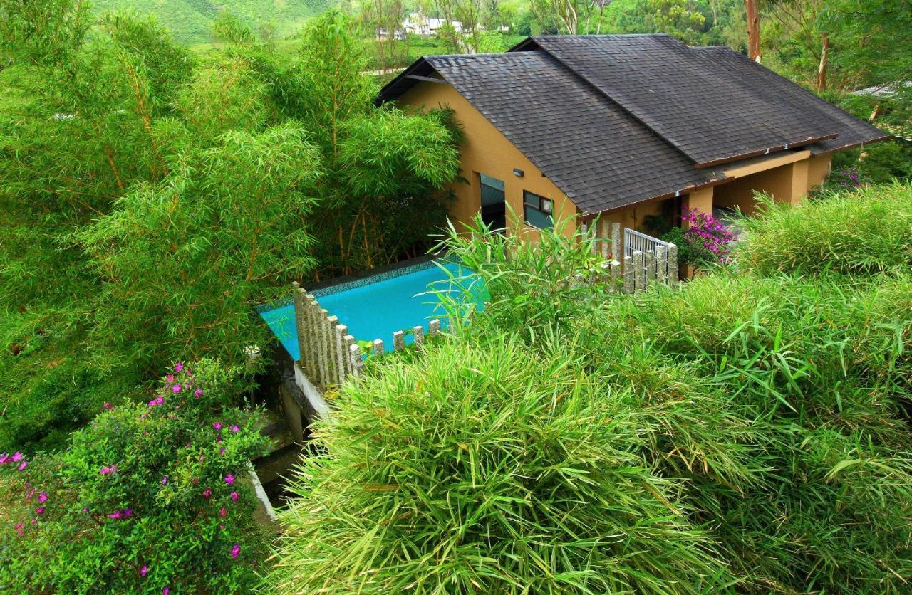 Tea Terrain & Hotel Vagamon