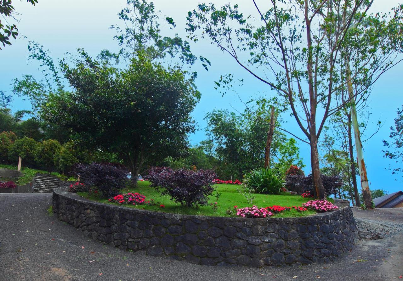 Tea Terrain & Hotel