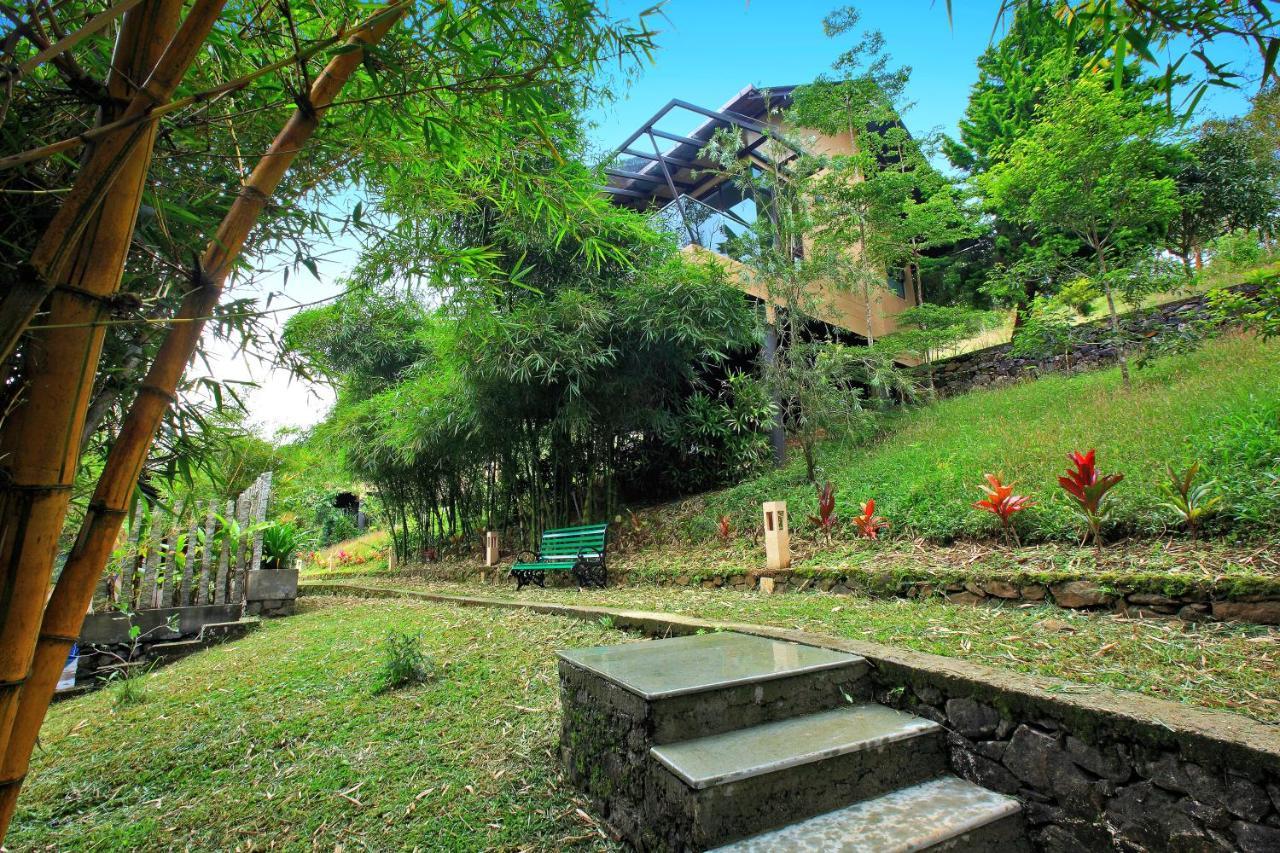 Hotel Tea Terrain & Vagamon