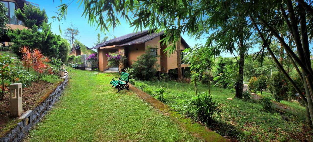 Tea Terrain & Vagamon