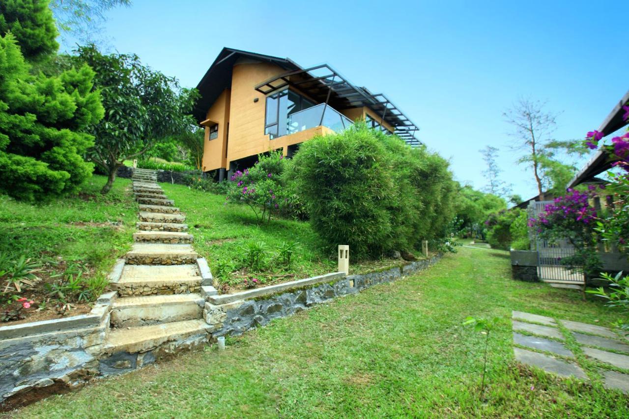 Hotel Tea Terrain &